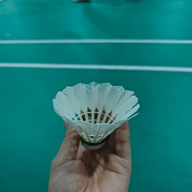 深入解析体育赛事背后的数据与策略